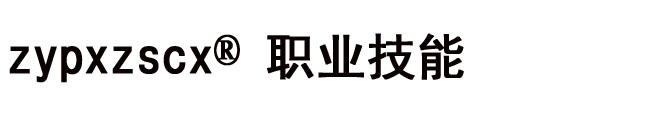 育嘉 zypxzscx®职业技能
